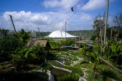 View - 	Thúc đẩy giao lưu văn hóa, hợp tác hàng không, du lịch với Singapore